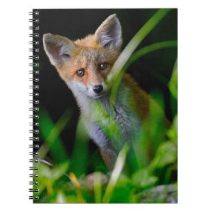 Cutest Baby Animals   Baby Red Fox Notebook