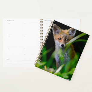 Cutest Baby Animals   Baby Red Fox Planner