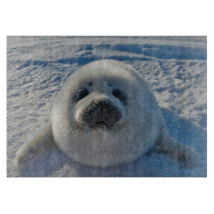 Cutest Baby Animals Baby Seal Cutting Board