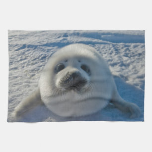 Cutest Baby Animals Baby Seal Kitchen Towel
