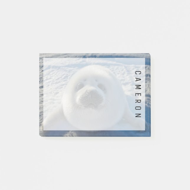 Cutest Baby Animals | Baby Seal Post-it Notes (Front)