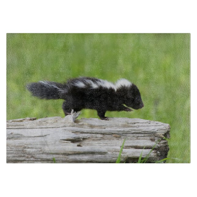 Cutest Baby Animals | Baby Skunk Cutting Board (Front)