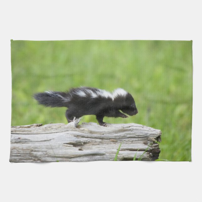 Cutest Baby Animals | Baby Skunk Kitchen Towel (Horizontal)