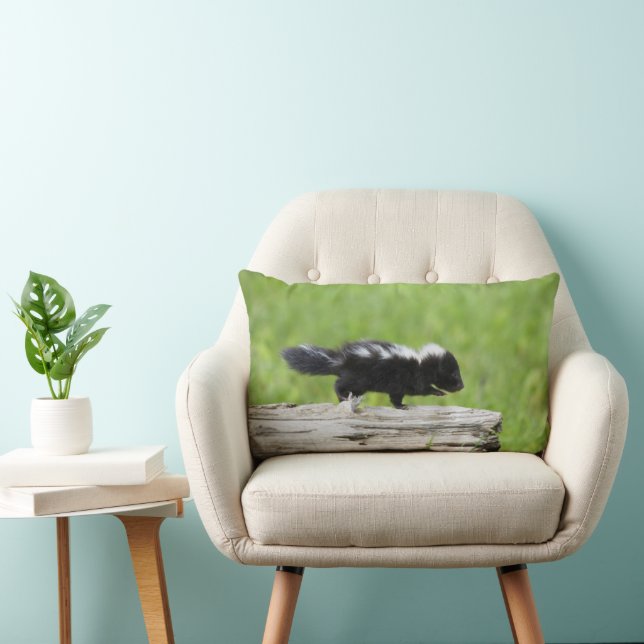 Cutest Baby Animals | Baby Skunk Lumbar Pillow (Chair)