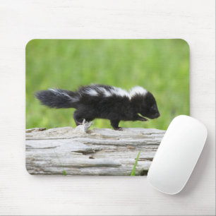 Cutest Baby Animals   Baby Skunk Mouse Pad