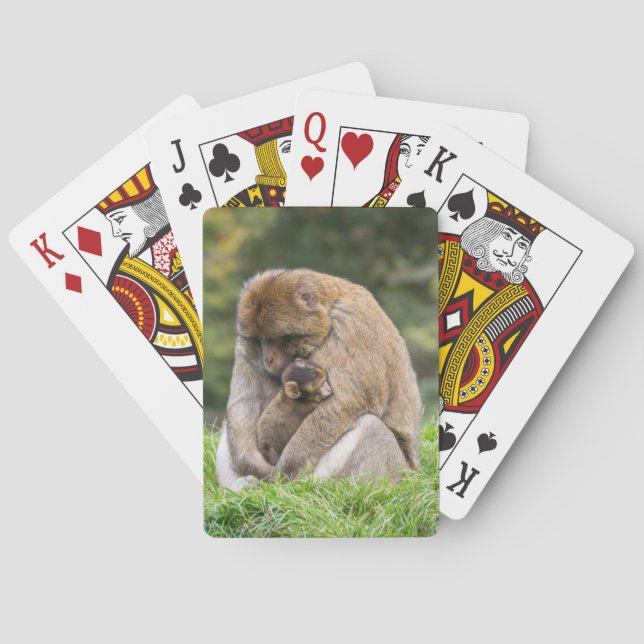 Cutest Baby Animals | Barbary Macaque Family Playing Cards (Back)
