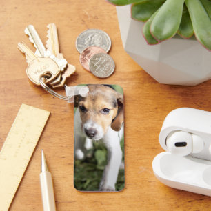 Cutest Baby Animals Beagle Puppy Keychain