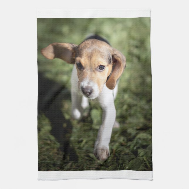 Cutest Baby Animals | Beagle Puppy Kitchen Towel (Vertical)