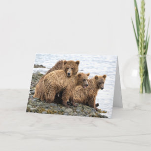 Cutest Baby Animals   Bear & Cubs Card