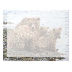 Cutest Baby Animals Bear & Cubs Notepad