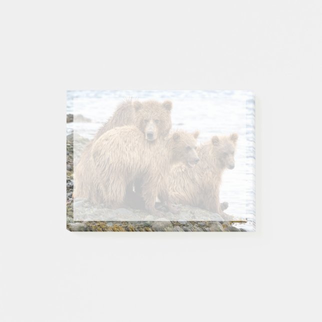 Cutest Baby Animals | Bear & Cubs Post-it Notes (Front)