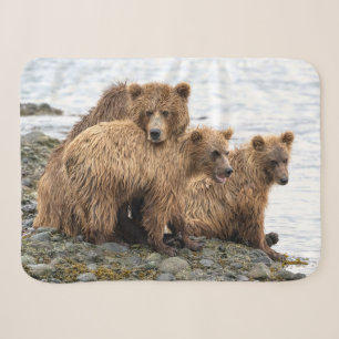Cutest Baby Animals Bear & Cubs Sherpa Blanket