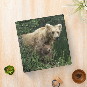 Cutest Baby Animals Bear Mama Bear & Her Cubs Binder