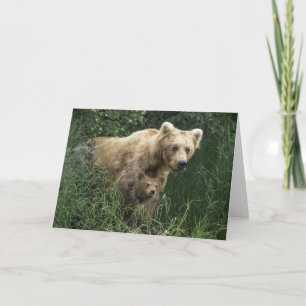 Cutest Baby Animals Bear Mama Bear & Her Cubs Card
