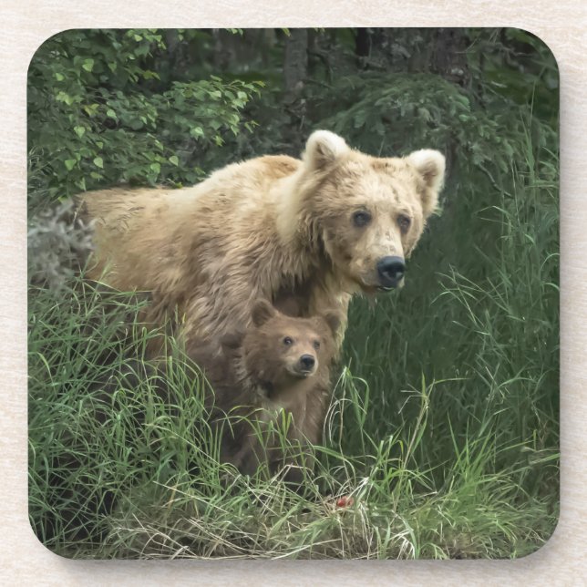 Cutest Baby Animals | Bear Mama Bear & Her Cubs Coaster (Front)
