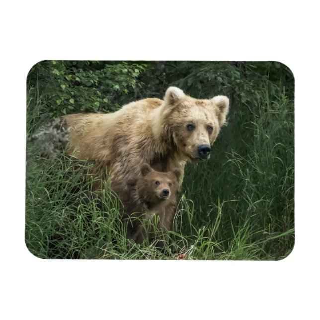 Cutest Baby Animals | Bear Mama Bear & Her Cubs Magnet (Horizontal)