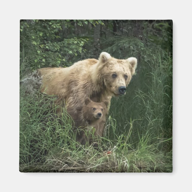 Cutest Baby Animals | Bear Mama Bear & Her Cubs Magnet (Front)