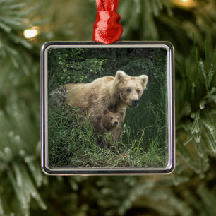 Cutest Baby Animals Bear Mama Bear & Her Cubs Metal Ornament