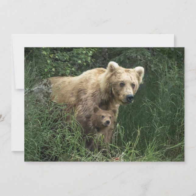 Cutest Baby Animals | Bear Mama Bear & Her Cubs Thank You Card (Front)