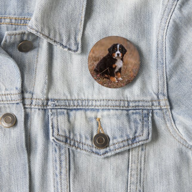 Cutest Baby Animals | Bernese Mountain Dog 2 Inch Round Button (In Situ)