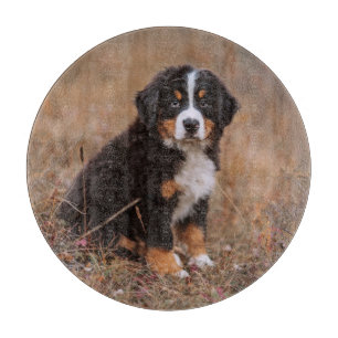 Cutest Baby Animals Bernese Mountain Dog Cutting Board