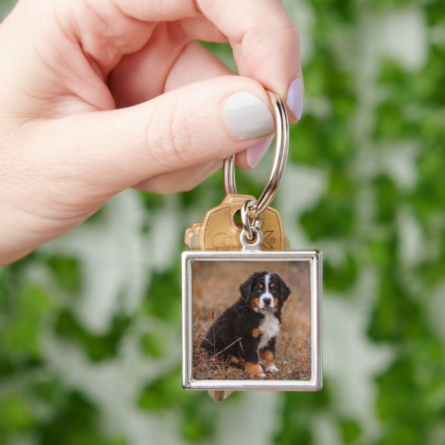 Cutest Baby Animals | Bernese Mountain Dog Keychain (Hand)