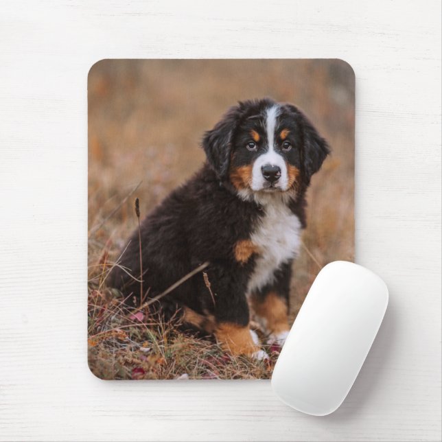 Cutest Baby Animals | Bernese Mountain Dog Mouse Pad (With Mouse)