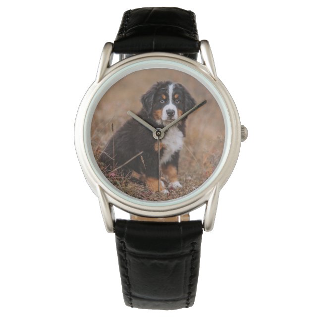 Cutest Baby Animals | Bernese Mountain Dog Watch (Front)