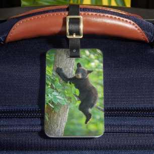 Cutest Baby Animals   Black Bear Cub Luggage Tag