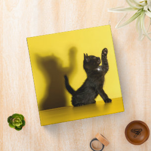 Cutest Baby Animals Black Cat Playing Binder