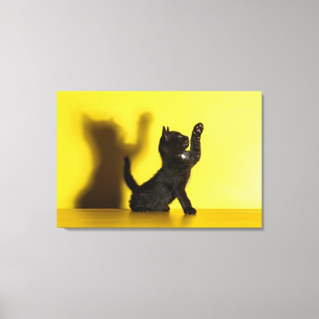 Cutest Baby Animals | Black Cat Playing Canvas Print (Front)