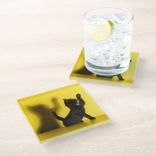 Cutest Baby Animals   Black Cat Playing Glass Coaster