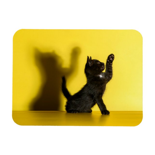 Cutest Baby Animals | Black Cat Playing Magnet (Horizontal)