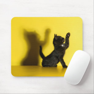 Cutest Baby Animals Black Cat Playing Mouse Pad