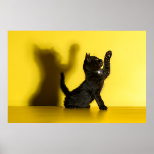 Cutest Baby Animals   Black Cat Playing Poster
