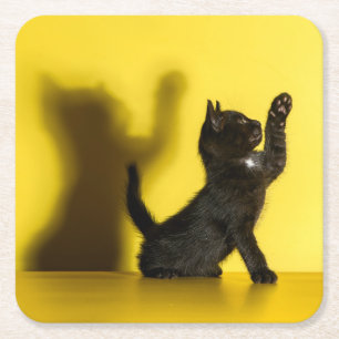 Cutest Baby Animals Black Cat Playing Square Paper Coaster