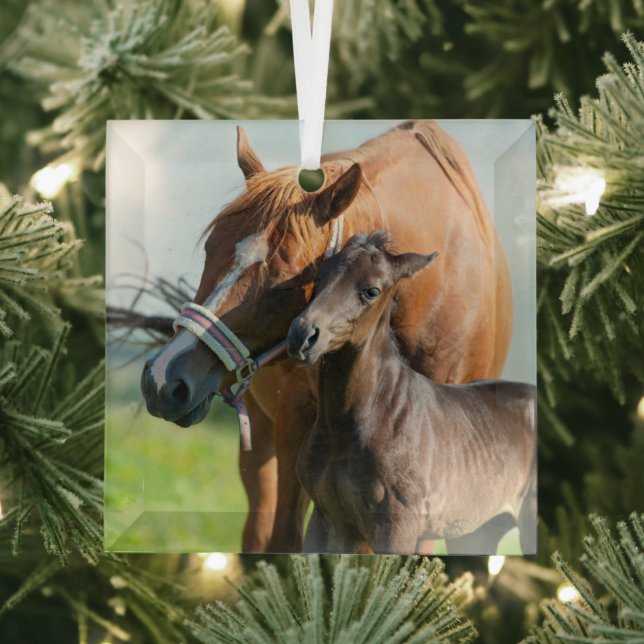 Cutest Baby Animals | Black Foal with Mom Glass Ornament (Insitu)