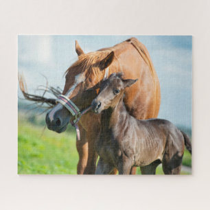 Cutest Baby Animals Black Foal with Mom Jigsaw Puzzle
