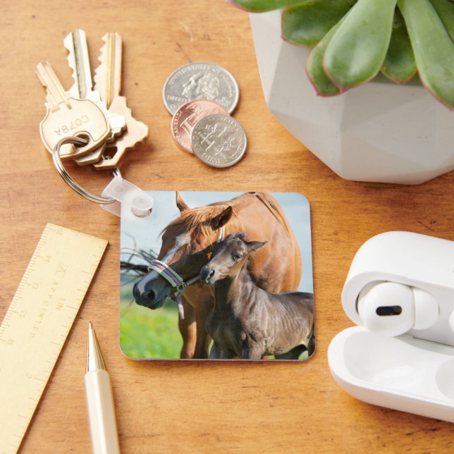 Cutest Baby Animals | Black Foal with Mom Keychain (Desk)