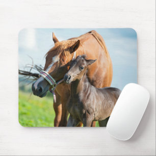 Cutest Baby Animals   Black Foal with Mom Mouse Pad