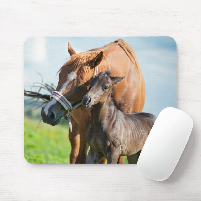 Cutest Baby Animals | Black Foal with Mom Mouse Pad (With Mouse)