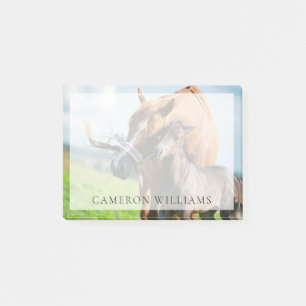 Cutest Baby Animals   Black Foal with Mom Post-it Notes