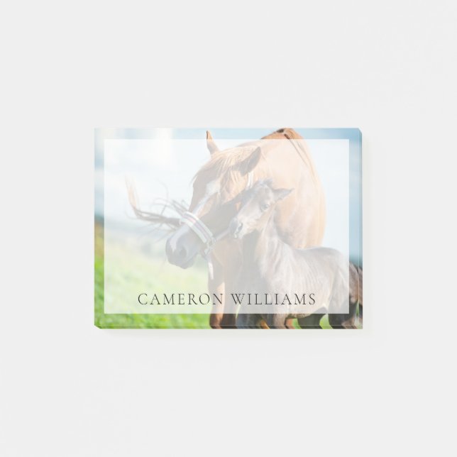 Cutest Baby Animals | Black Foal with Mom Post-it Notes (Front)