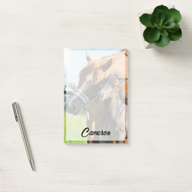 Cutest Baby Animals | Black Foal with Mom Post-it Notes (Office)