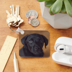 Cutest Baby Animals Black Labrador Puppy Keychain