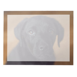 Cutest Baby Animals   Black Labrador Puppy Notepad