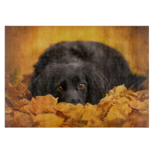 Cutest Baby Animals   Black Spaniel Puppy Cutting Board