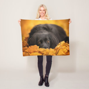 Cutest Baby Animals Black Spaniel Puppy Fleece Blanket