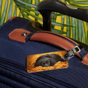 Cutest Baby Animals   Black Spaniel Puppy Luggage Tag