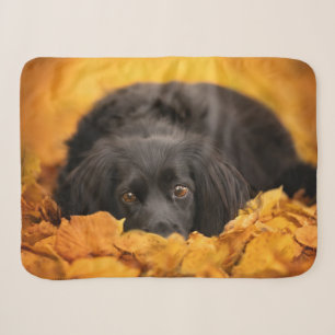 Cutest Baby Animals Black Spaniel Puppy Sherpa Blanket